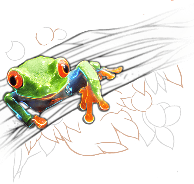 frosch-1a.png