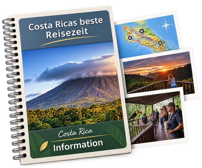 Darstellung eines Blogs in der Übersicht